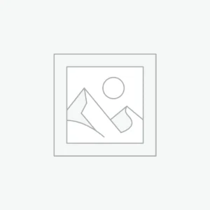 Contemporary Platform Bed